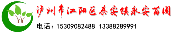 泸州永安苗圃(15309082488)泸州桂花小苗、遵义黄皮果苗、昭通迎春苗，毕节海桐苗，威信满天星苗